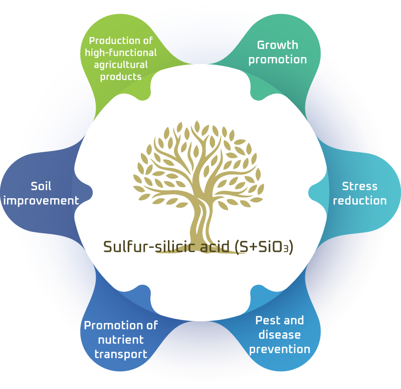 oboki-admission_infogra_en